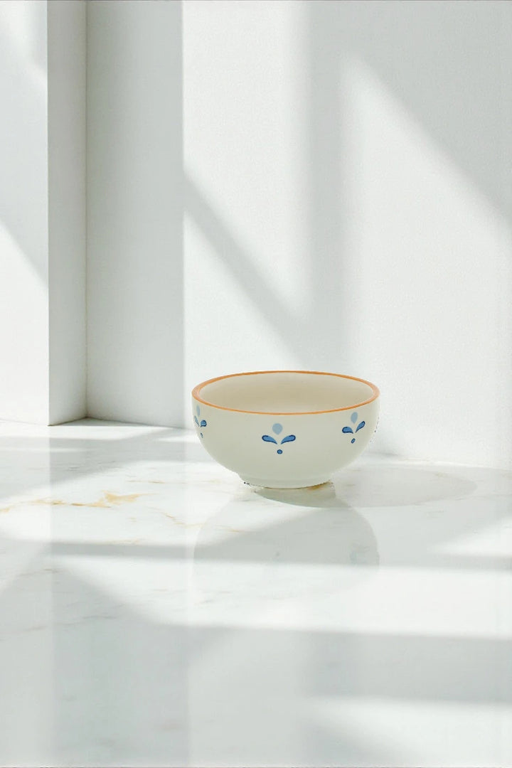 Ceramic bowl with decorative elements on a white surface