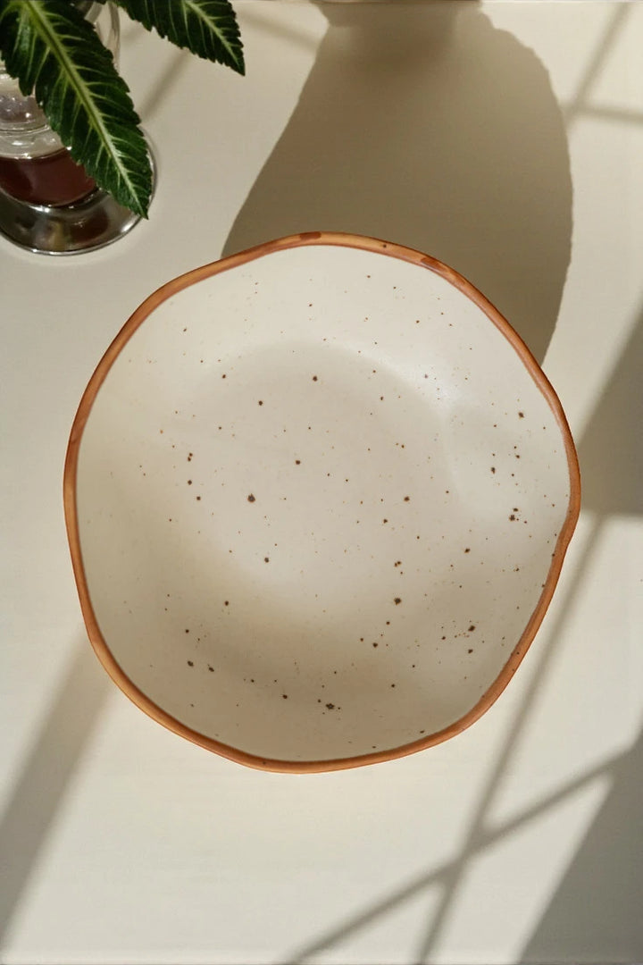 Speckled ceramic bowl on a light surface with a plant in the corner
