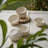 Elegant set of Golden Dawn ceramic decorative bowls by Claymistry, arranged on a rustic table as artisanal home decor, peeking through soft green leaves.