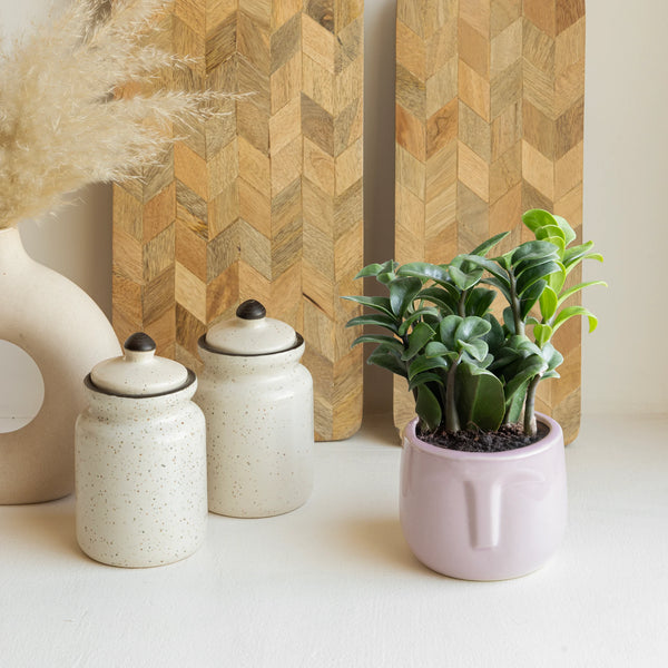 Say Aloe to My Little Friend: Face Planter Edition