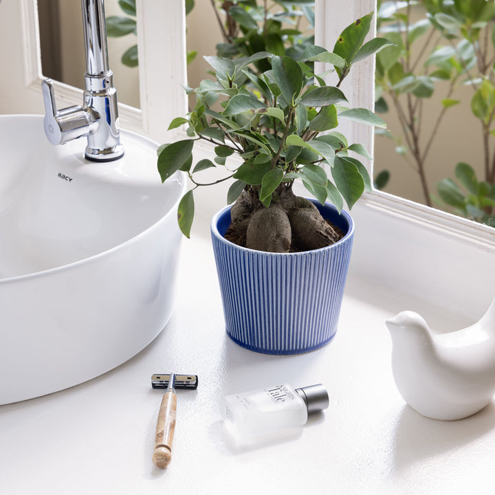 A blue ceramic planter for indoor plants named 'Shape Shift Planter: The Trapezoid Touch' featuring a ribbed texture, positioned beside a sink, holding indoor plant.