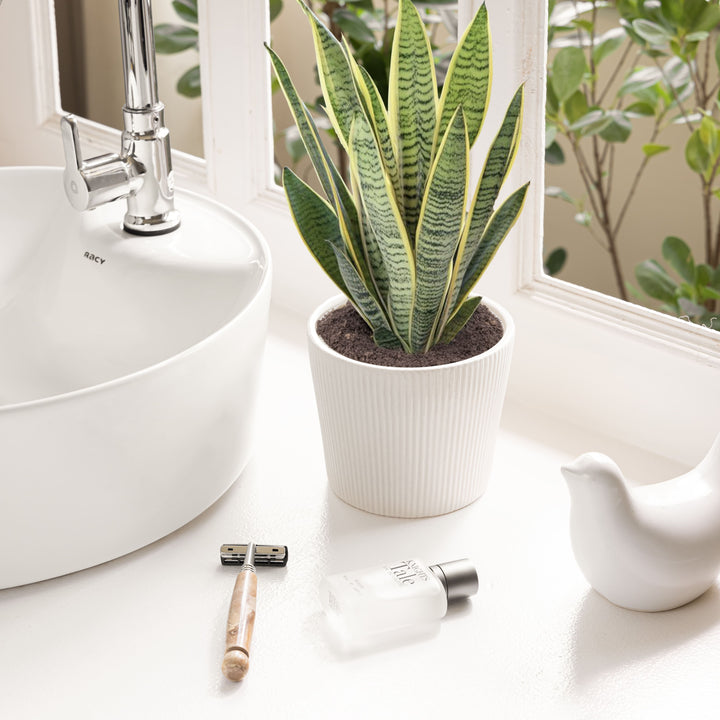 A cloud white planter for indoor plants named 'Shape Shift Planter: The Trapezoid Touch' featuring a ribbed texture, positioned beside a sink, holding indoor plant.