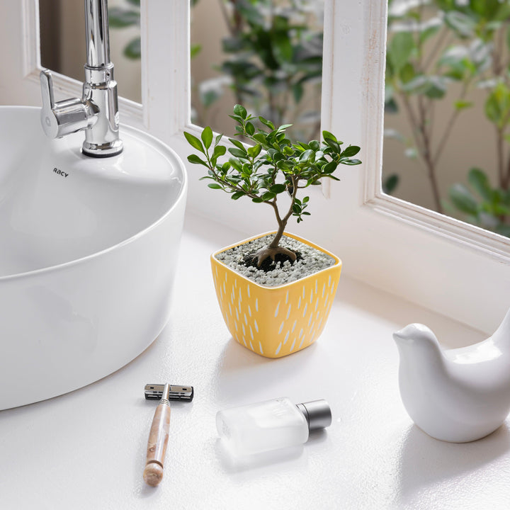 Display image of Square yellow ceramic planter with a unique teardrop pattern and a smooth matte finish.