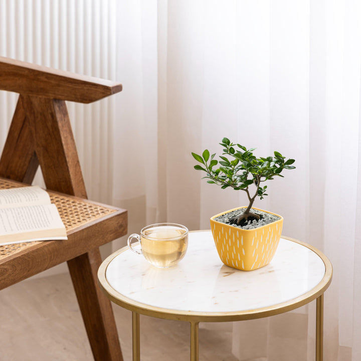Display image of Square yellow ceramic planter with a unique teardrop pattern and a smooth matte finish.