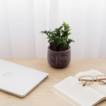 Say hello to personality! Handcrafted, eco-friendly ceramic face planter, perfect for housing small plants like aloe, adding a touch of whimsy to your indoor space.