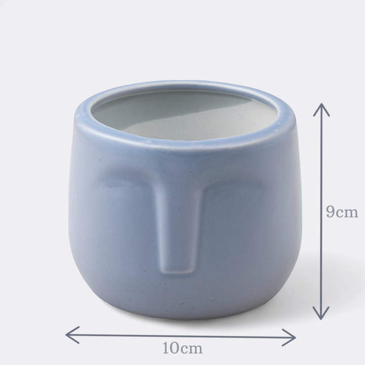 Add a touch of personality to your indoor space with our unique ceramic face plant pot, perfectly designed for small plants like aloe, succulents, or herbs