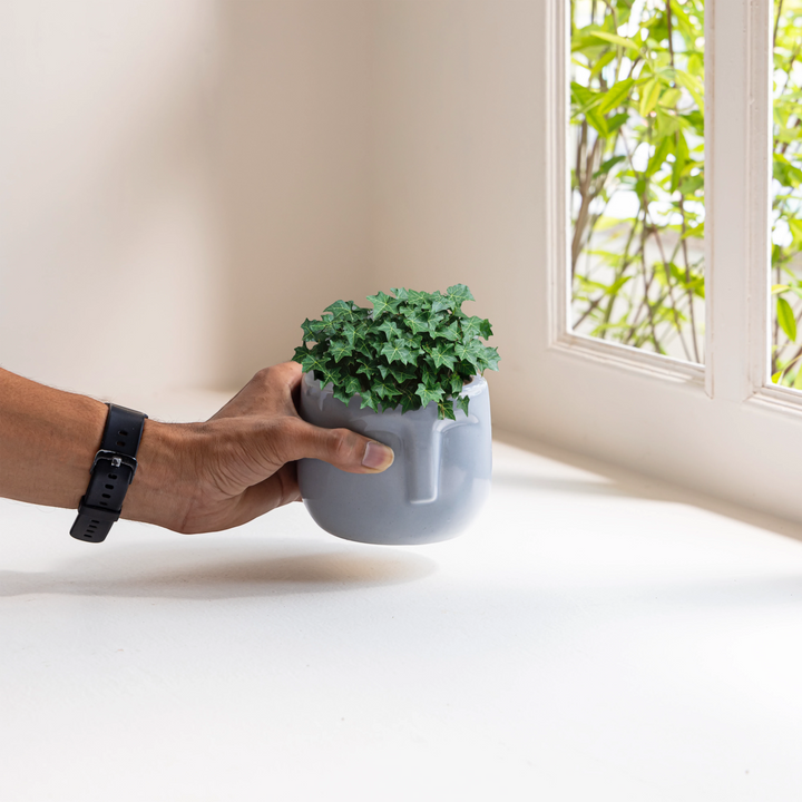 Add a touch of personality to your indoor space with our unique ceramic face plant pot, perfectly designed for small plants like aloe, succulents, or herbs.