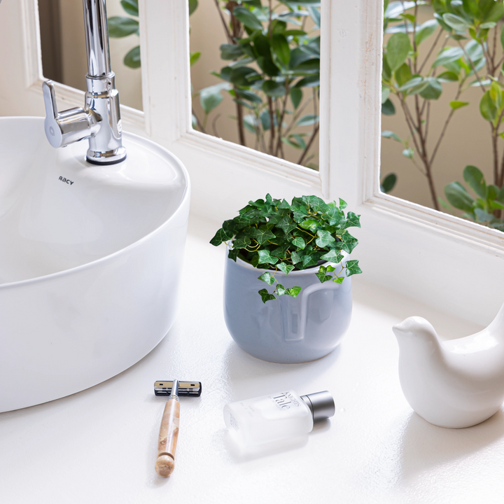 Add a touch of personality to your indoor space with our unique ceramic face plant pot, perfectly designed for small plants like aloe, succulents, or herbs