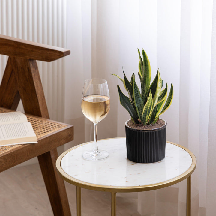 Minimal black ceramic planter with stable base, matte finish and ribbed texture, handcrafted for houseplant decor.