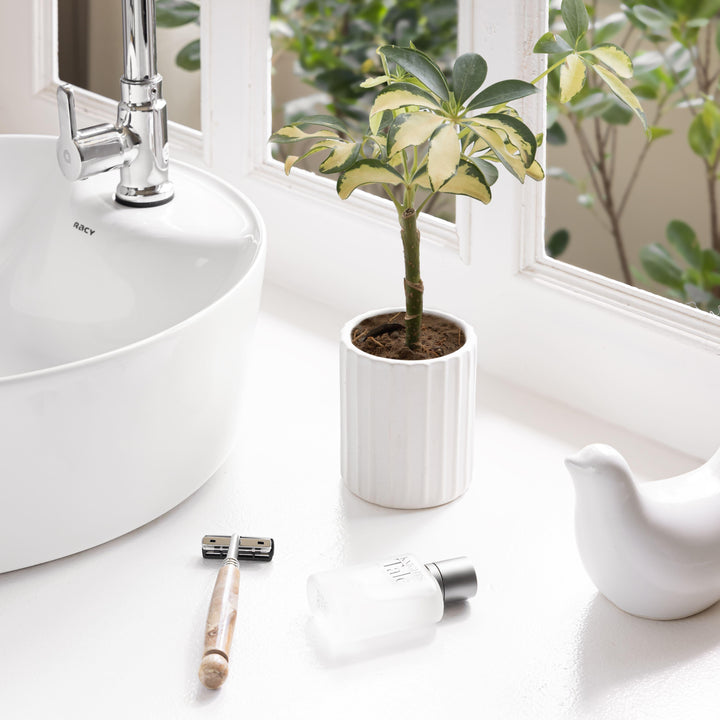 Handmade chalk white ceramic planter with ribbed finish, perfect for succulents and stylish modern home decor.