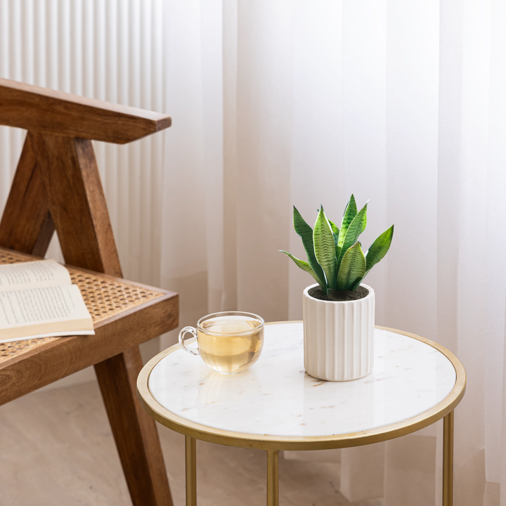 Chalk white ceramic planter set (small + medium), a perfect gift for plant lovers and decor fans.