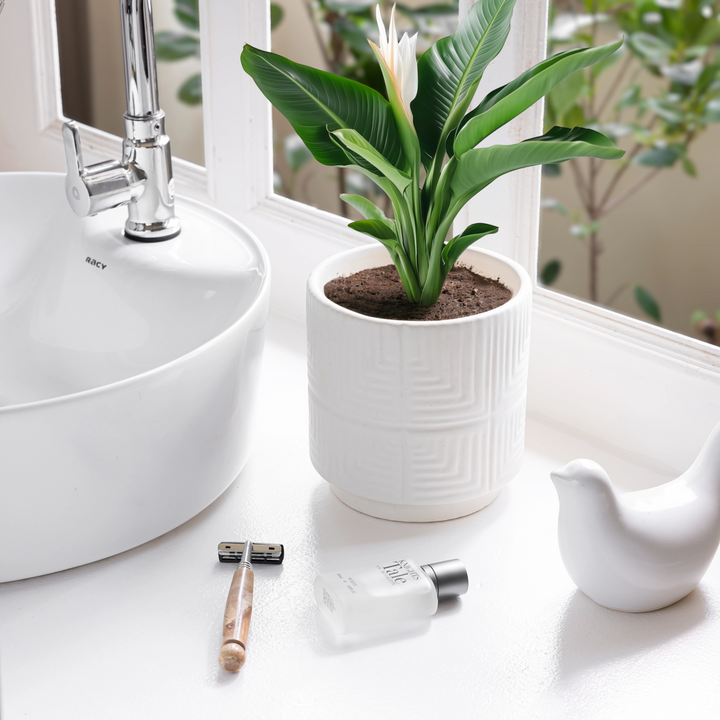 A ceramic planter on a white marble table beside a clear teacup, with icons indicating it's suitable for gifting and indoor/outdoor use.