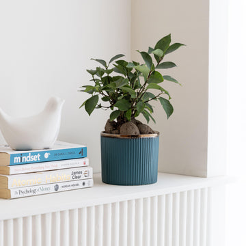 Top Trimmed, Fully Textured: The Cylinder Planter, detail of hand-finished rim